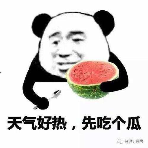 娱乐吃瓜酱谐音网名怎么取,揭秘网络谐音昵称背后的趣味与创意