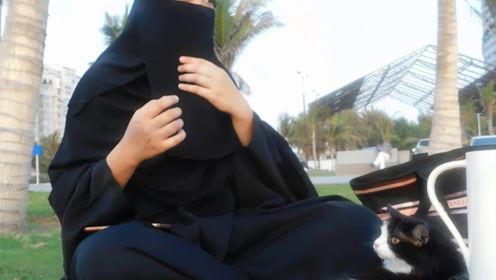 娱乐吃瓜君镜头,娱乐吃瓜君镜头下的娱乐圈风云录