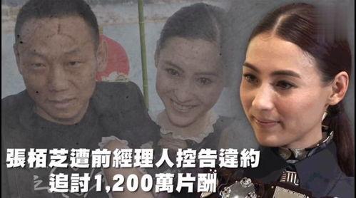 吃瓜娱乐作者是谁啊,揭秘网络热文背后的神秘身影